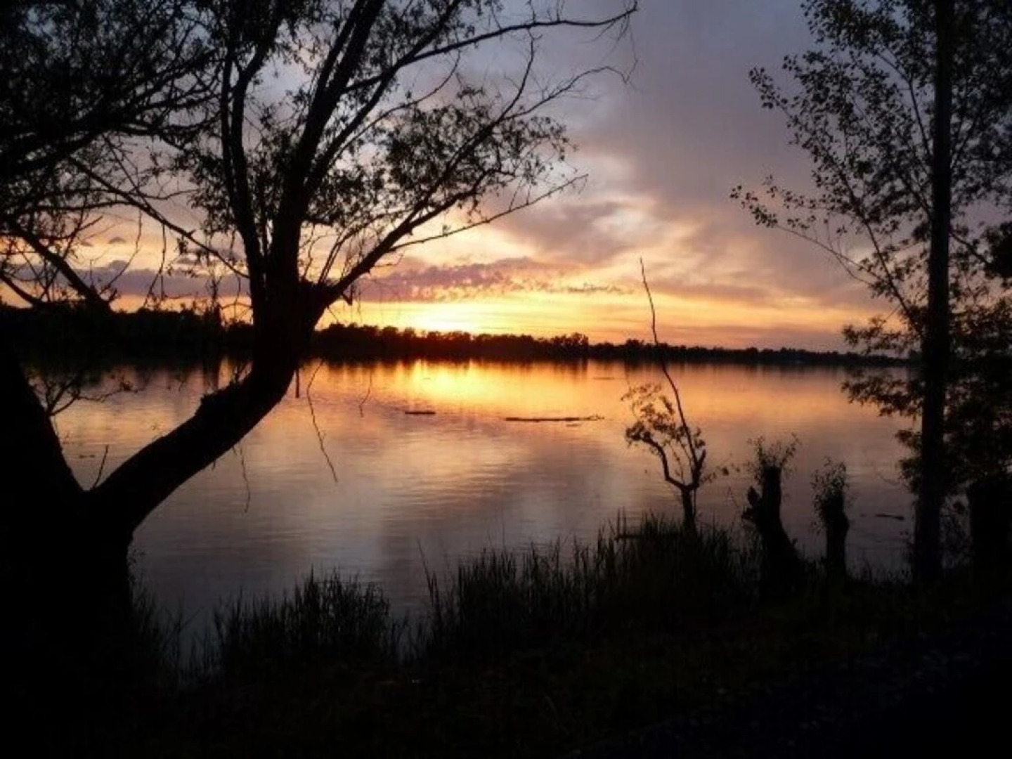 Les Rives de Garonne