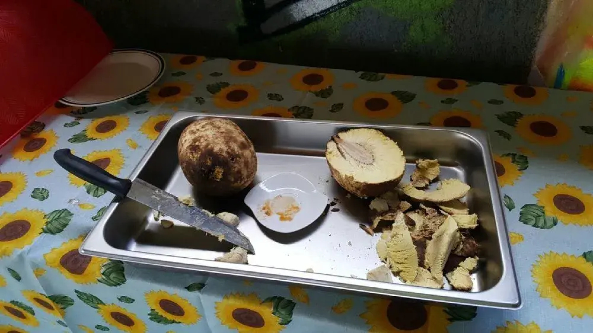 Rollanda Hotel Restaurant