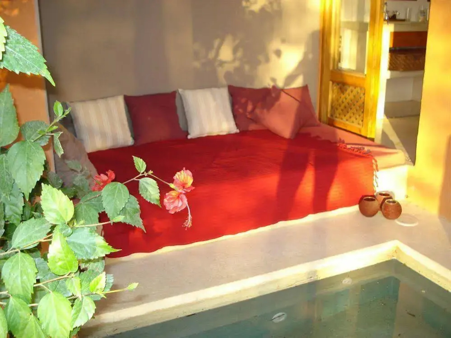 Colores Del Pacifico