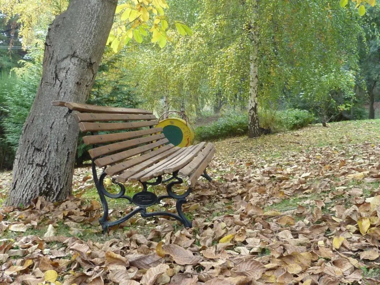 Cabañas Las Lavandas