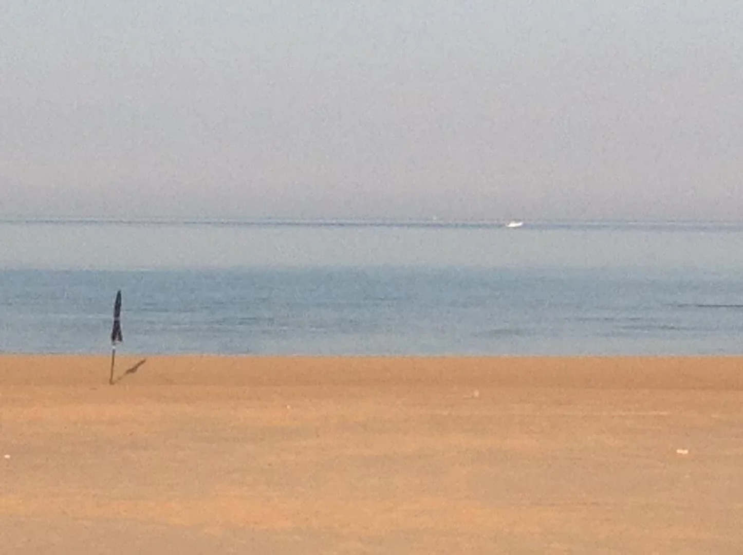 Il Giardino Dei Carrubi