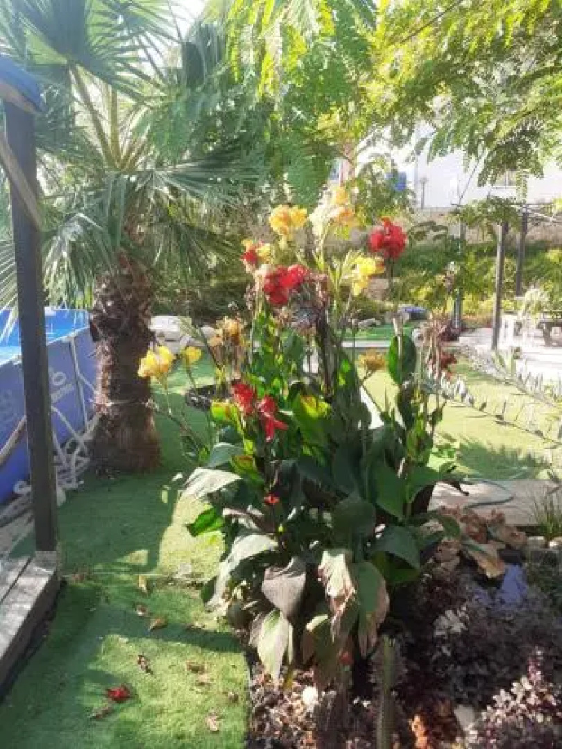 Mivtsa Lot 39 Apartments