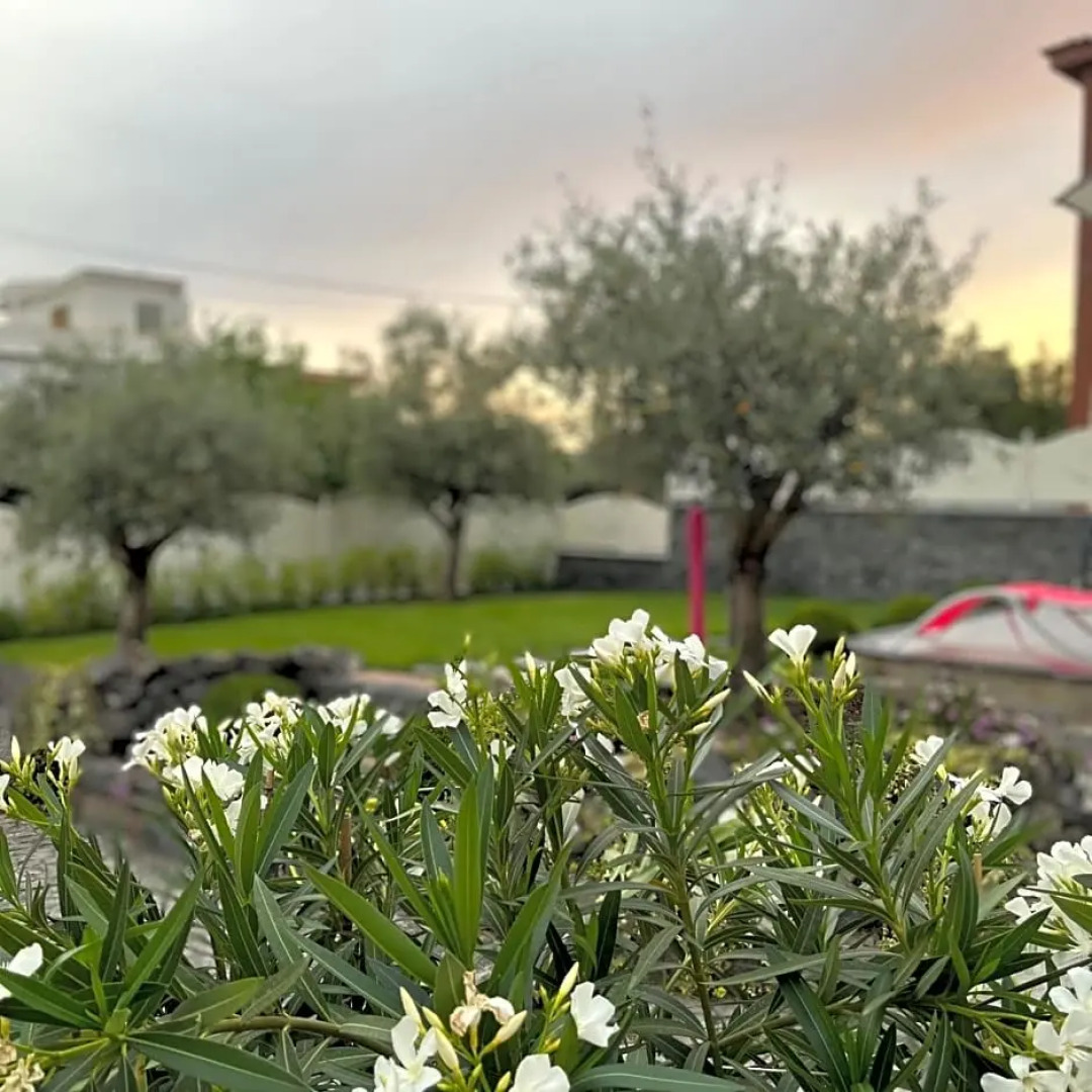 B&B Residenza Vittoria