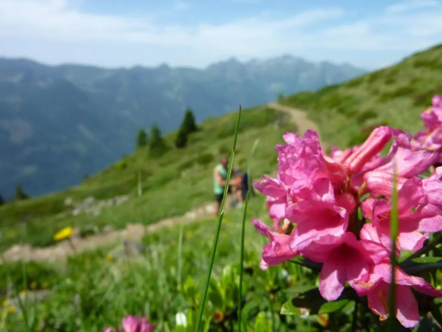 Apparthotel Sonnwies