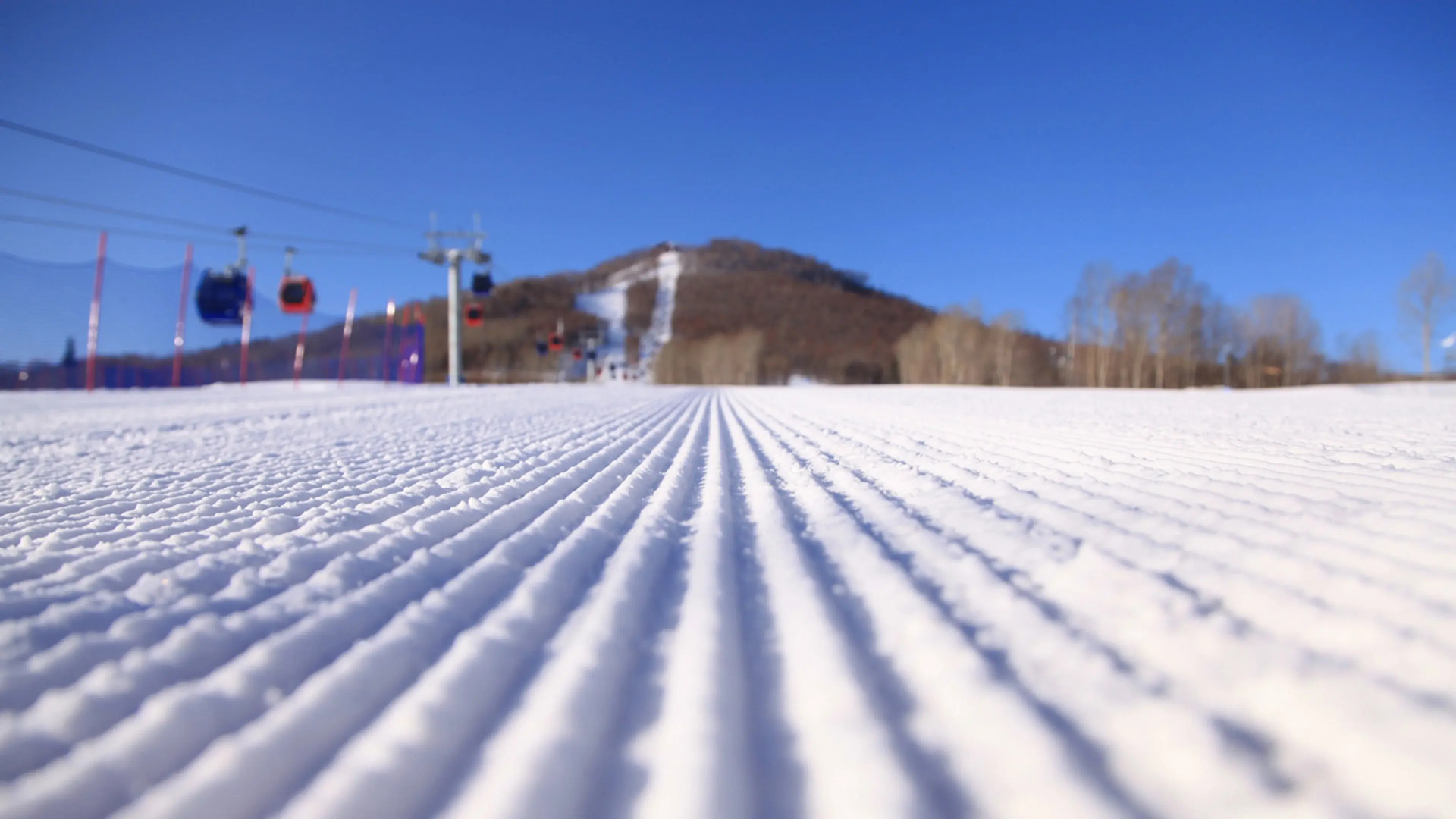 Holiday Inn Changbaishan Suites