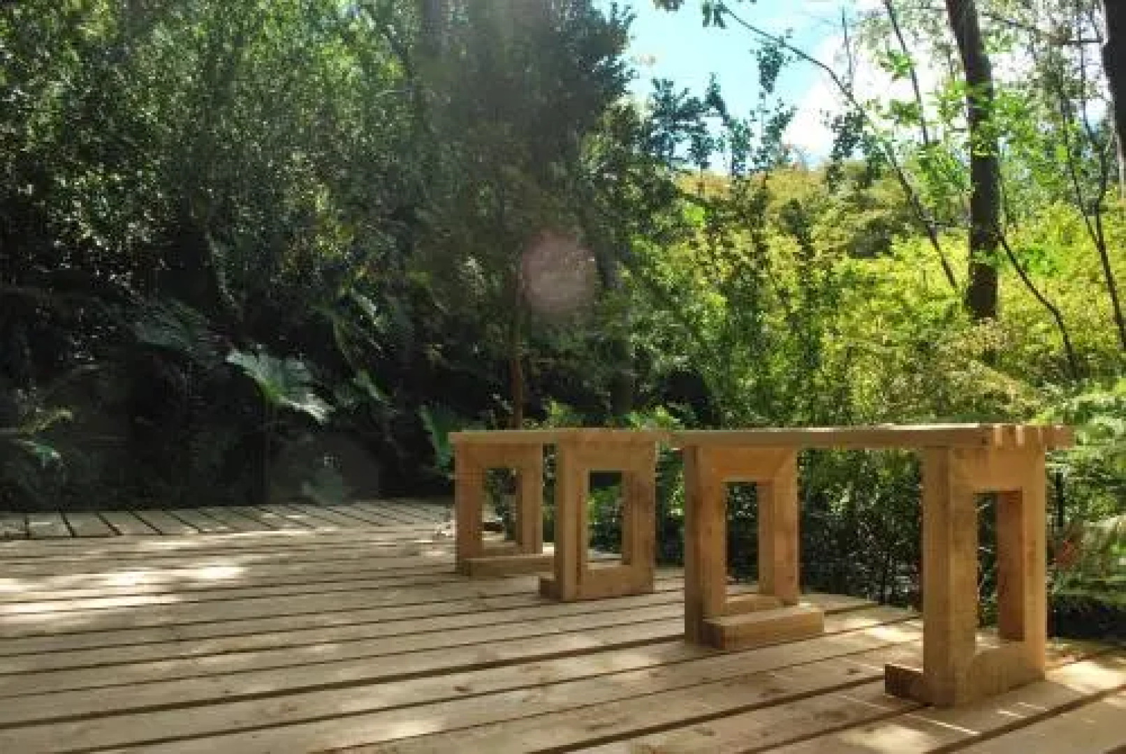 Chucao Bosque y Cabañas