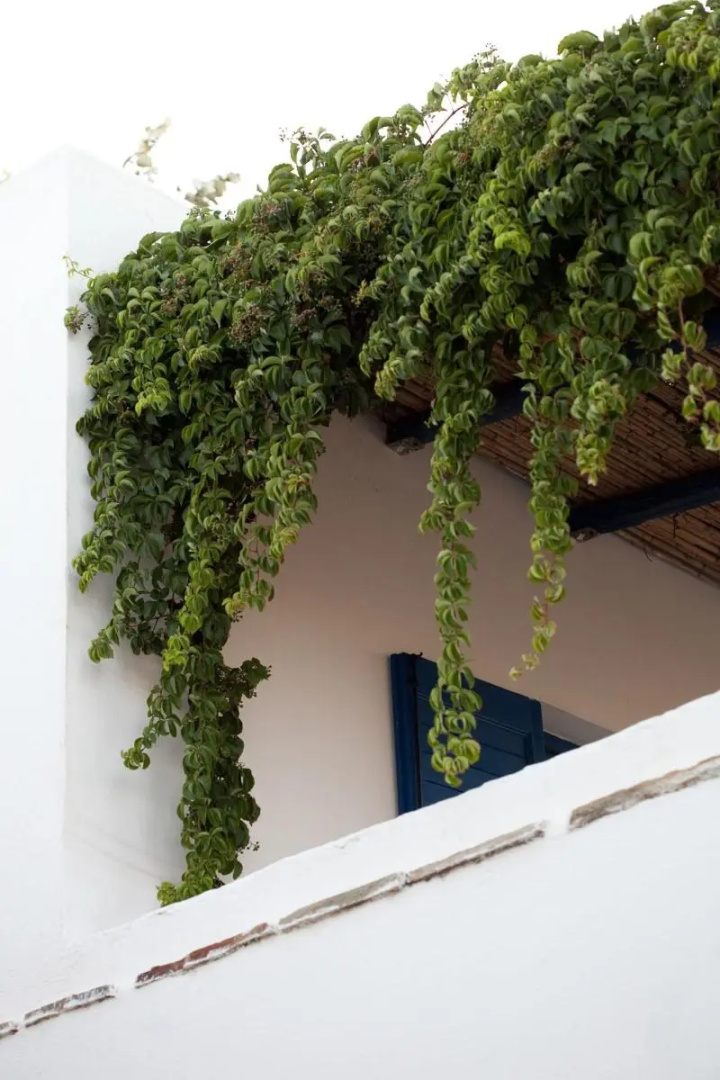 Antonina Hotel Apartments