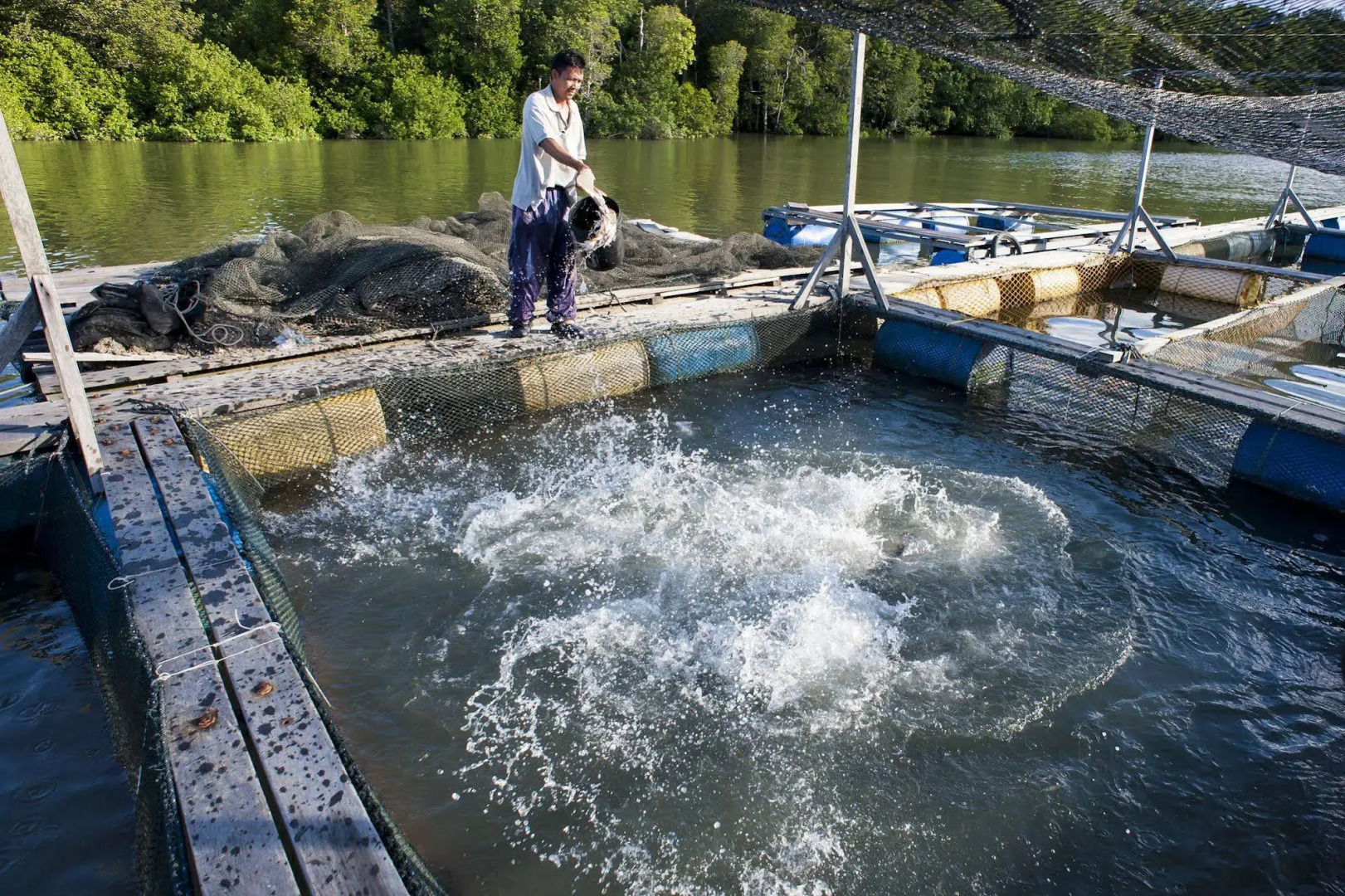 Sipadan Mangrove Resort