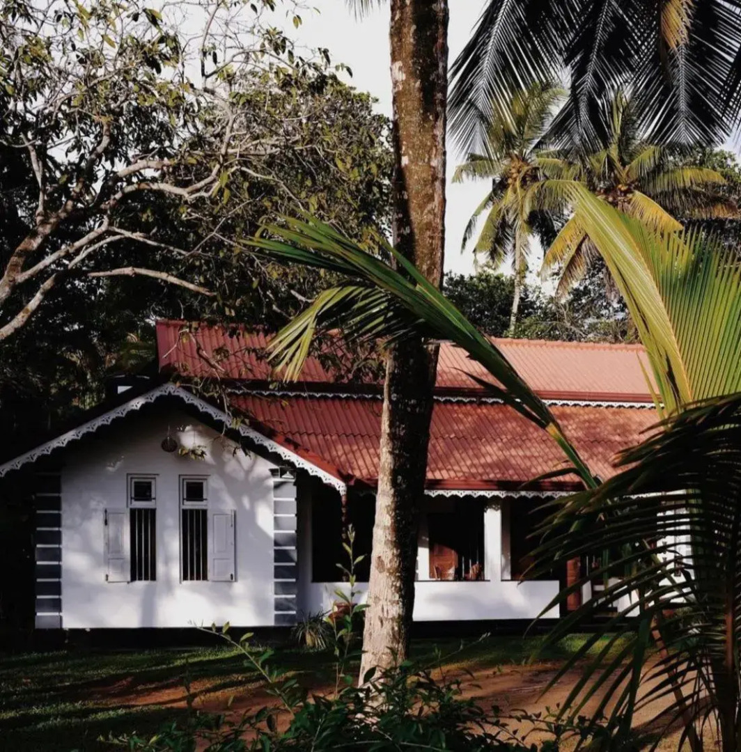 Luna Angel Rest Mirissa