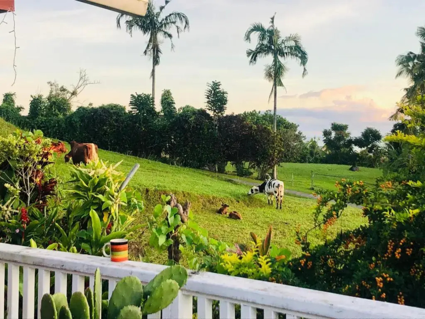 Apaula Heights Lounge