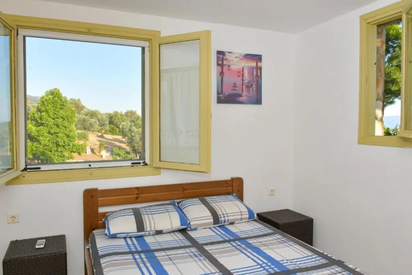 House in 10 acres of grass with horses