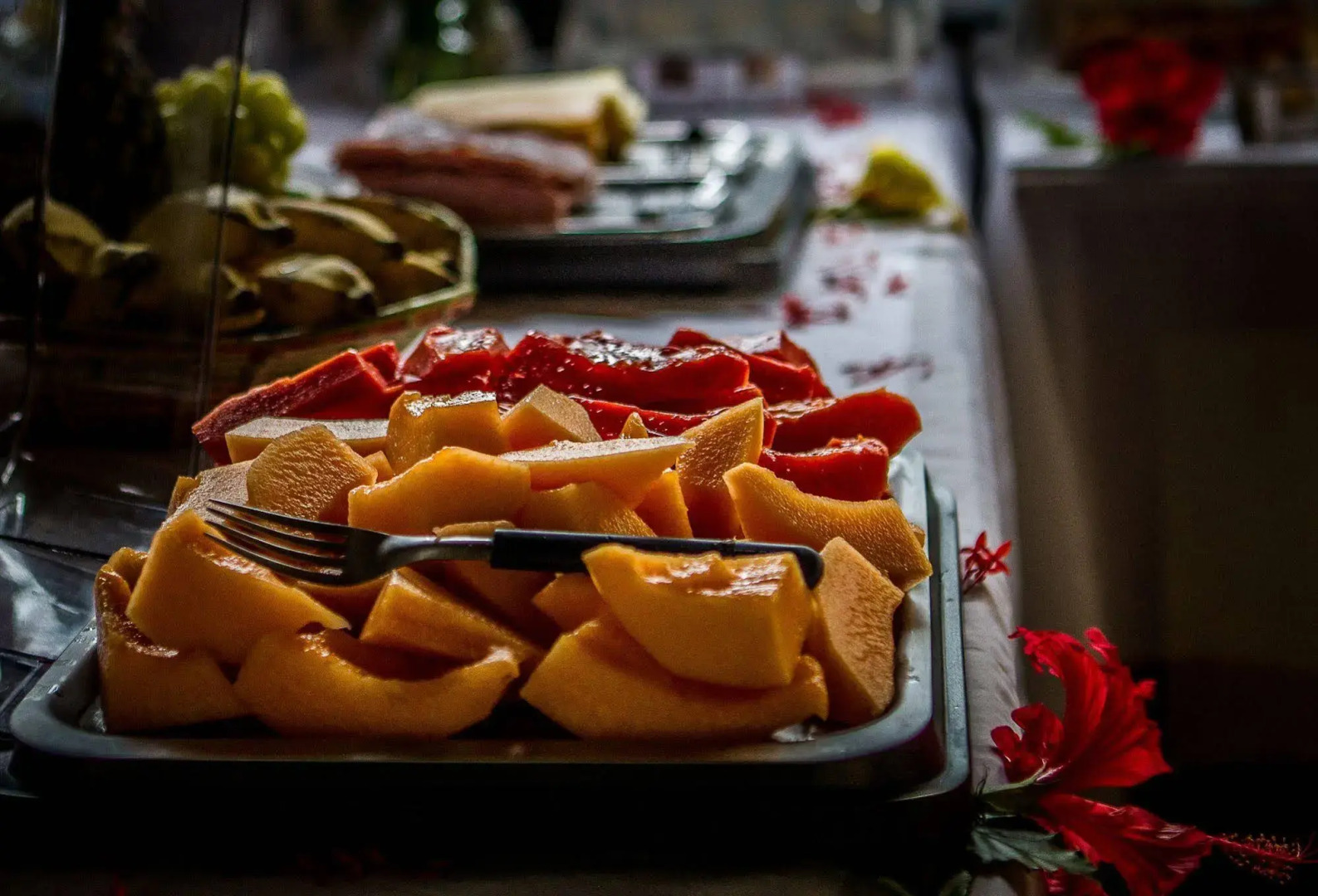 Pousada Cavalo Marinho