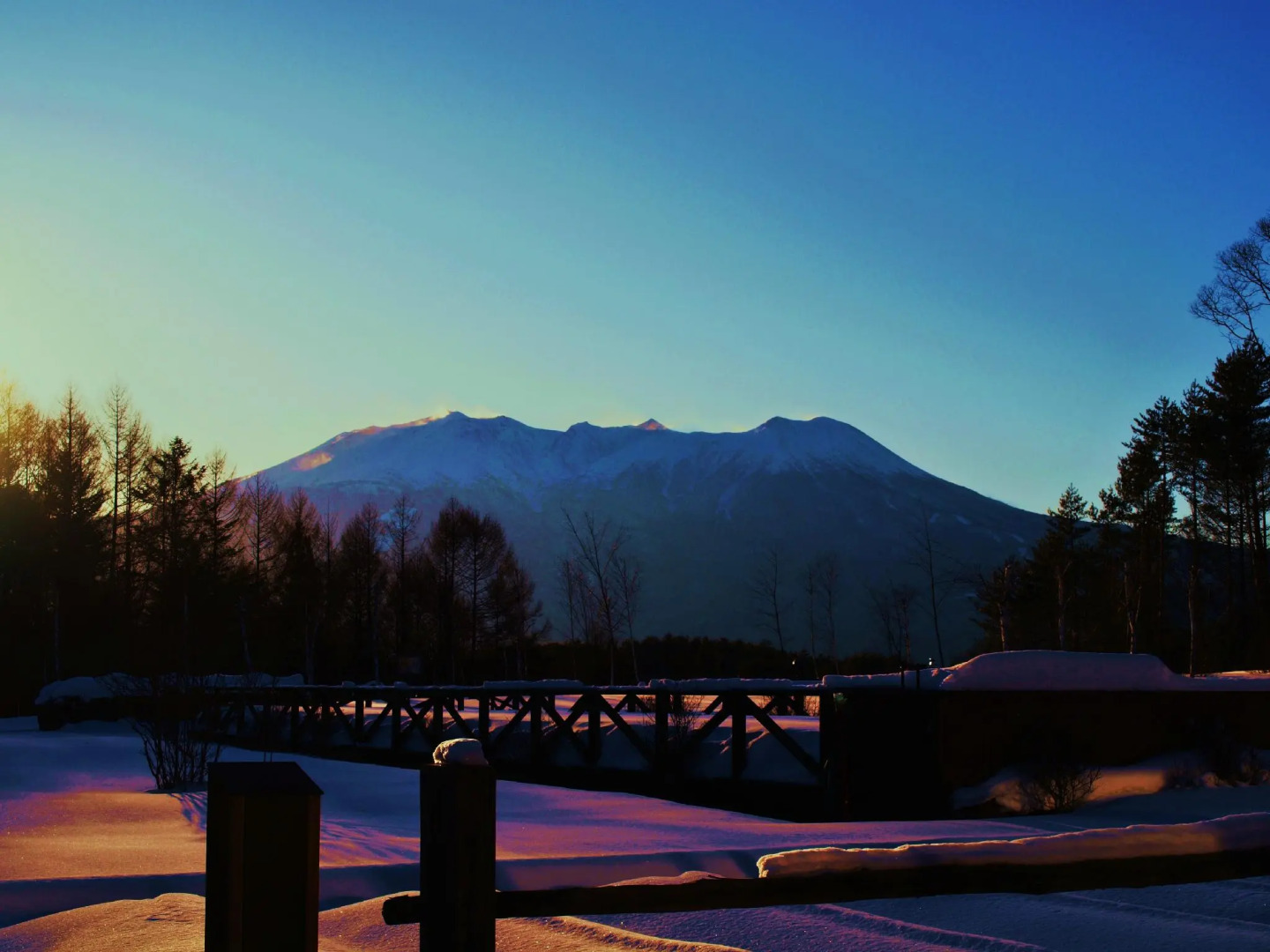 Tsutaya Tokinoyado Kazari