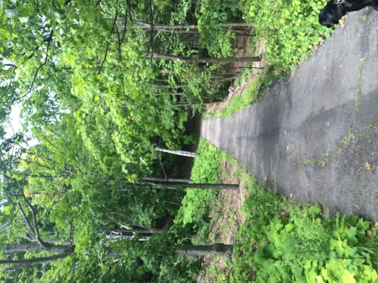 Country House Resort