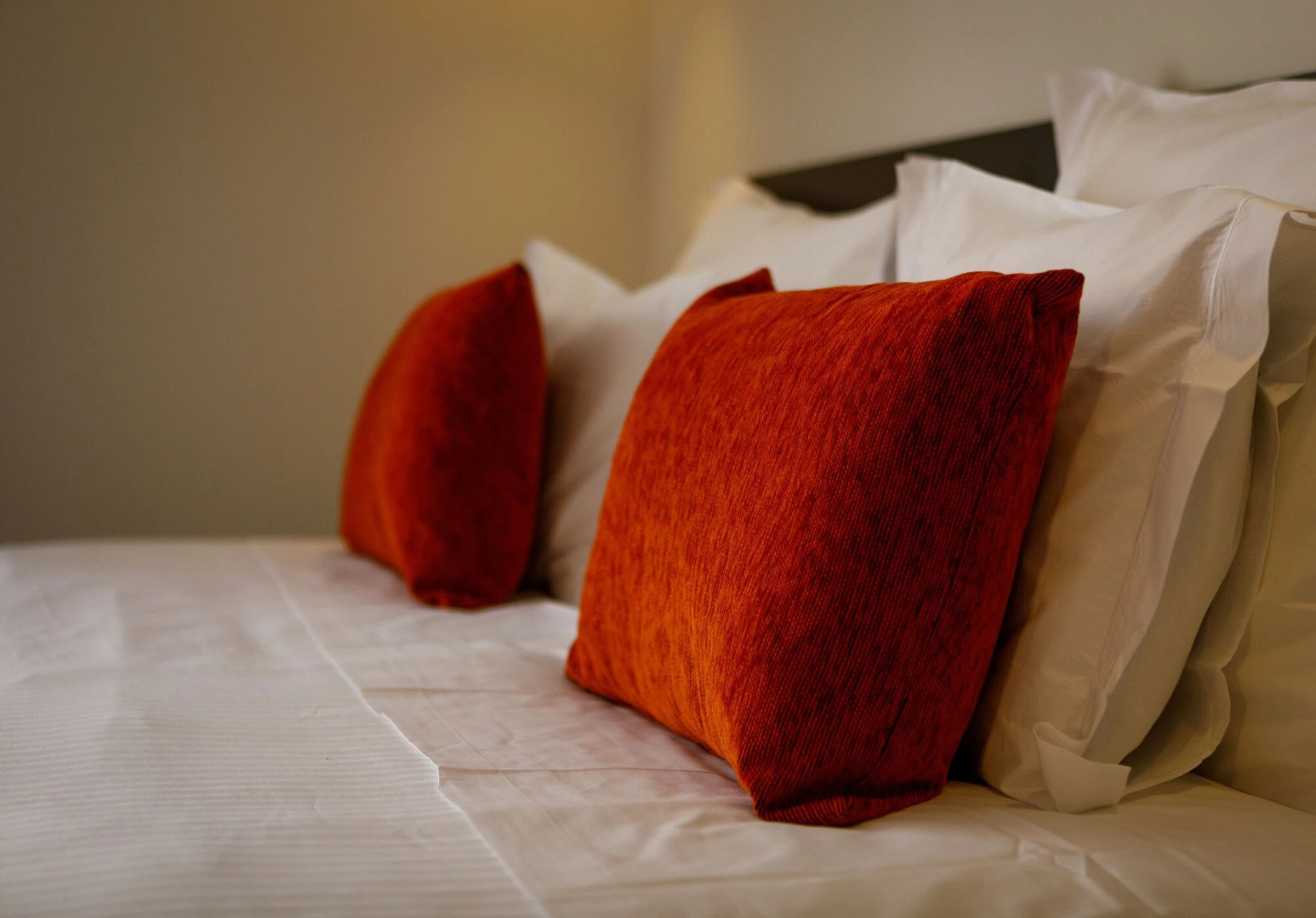 Sport Hotel Gym + SPA