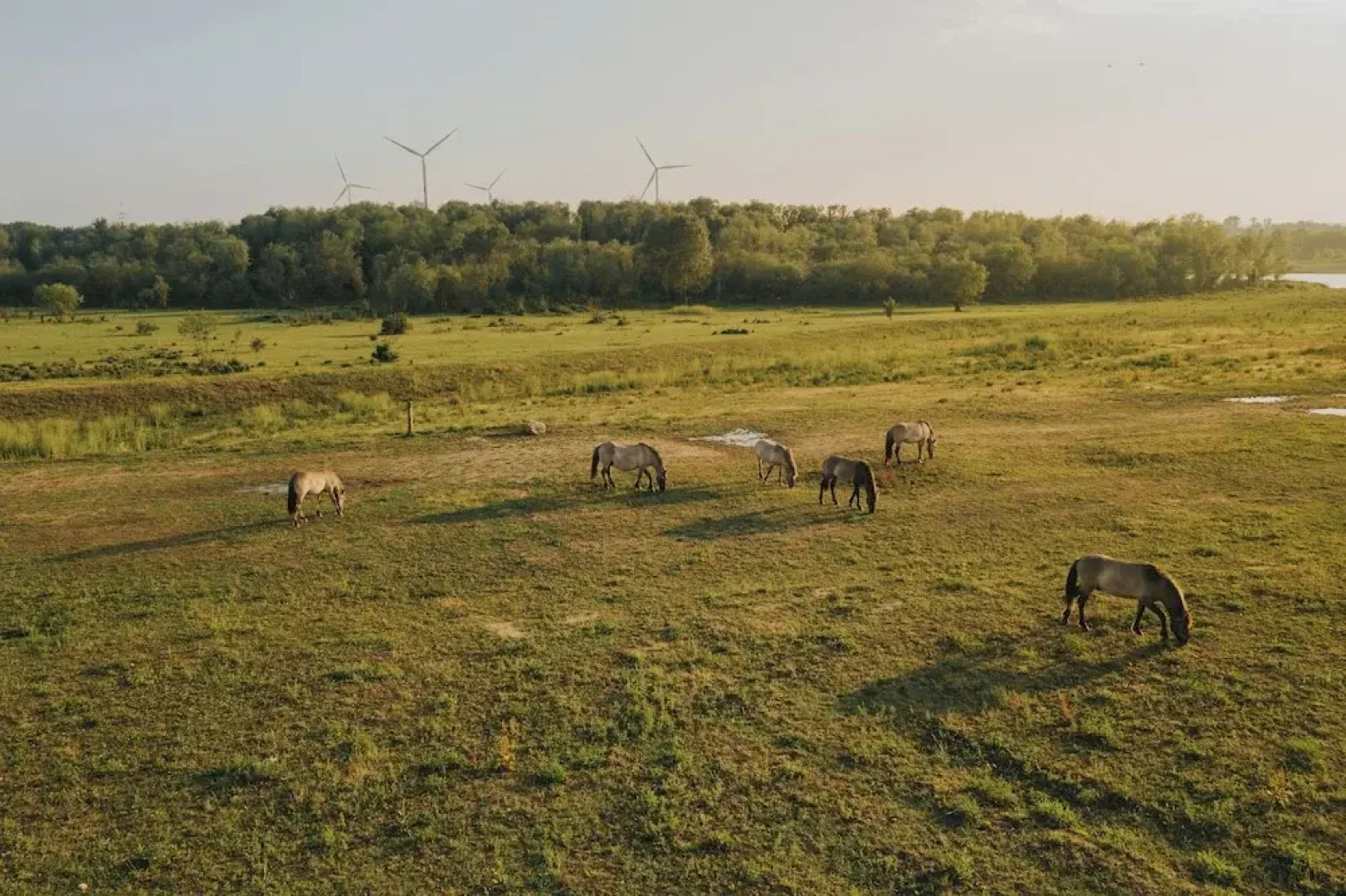 Boutique Hotel Annamaes