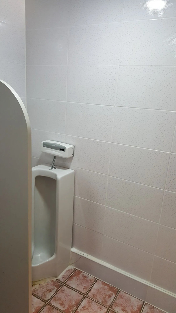 Dongbaekseom Guest House