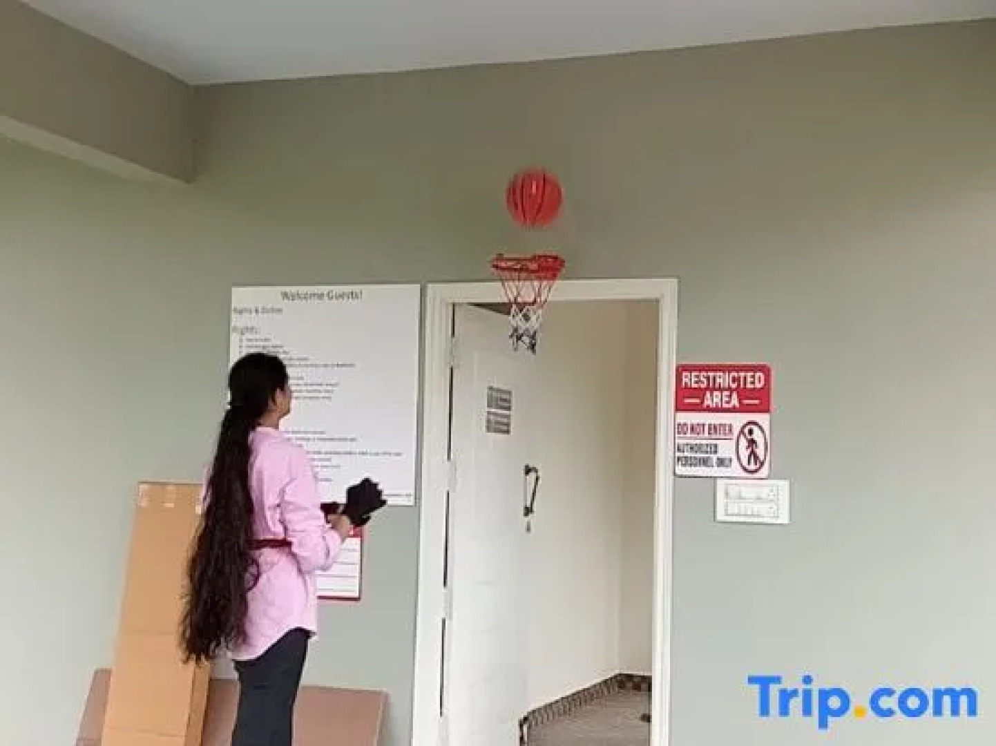 Nandi Hills View Cottages