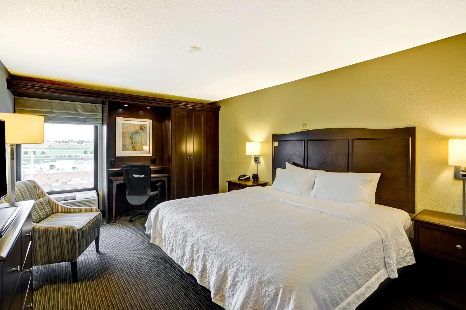 Hampton Inn Knoxville - Airport