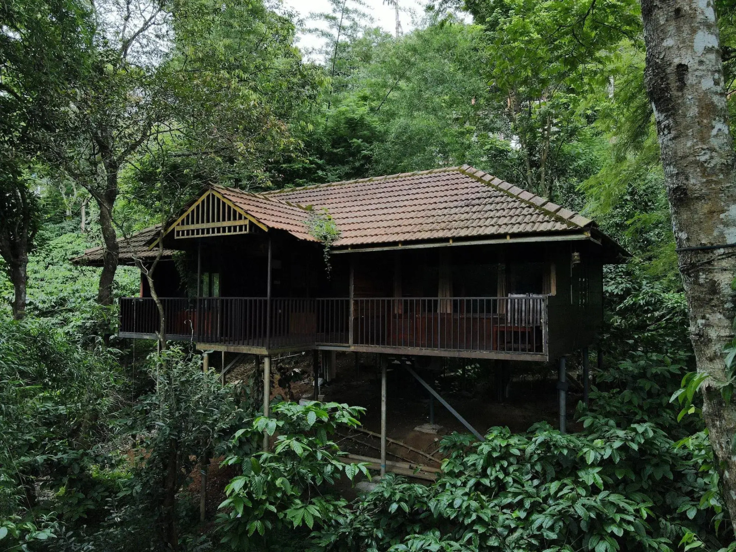 Planet Green Plantation Resorts, Wayanad, Kerala