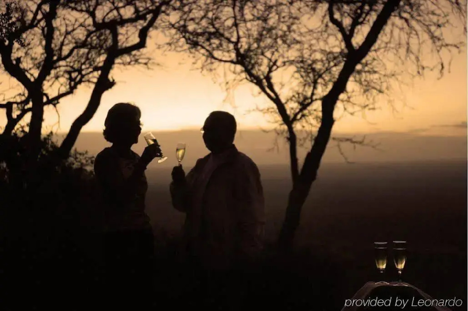 Salt Lick Safari Lodge