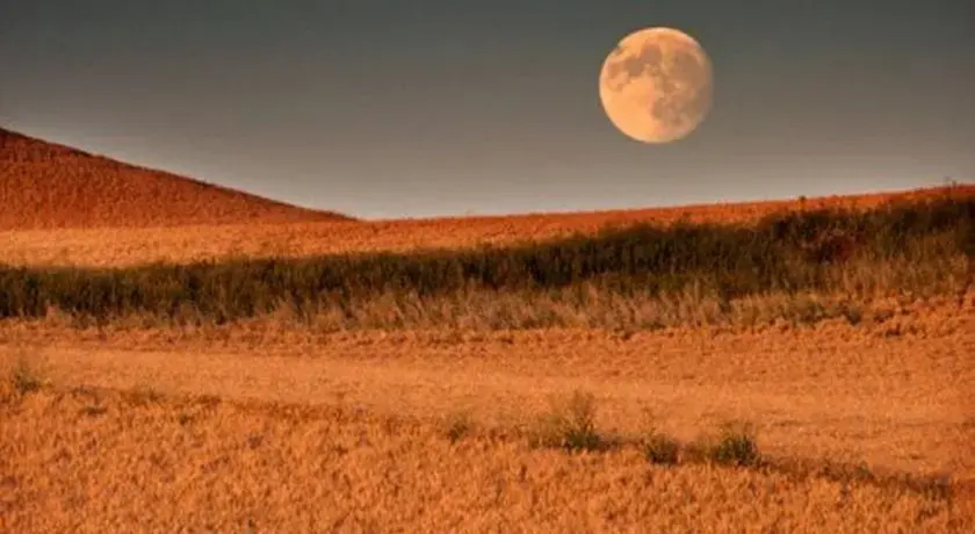 The Craftsman Inn Moro