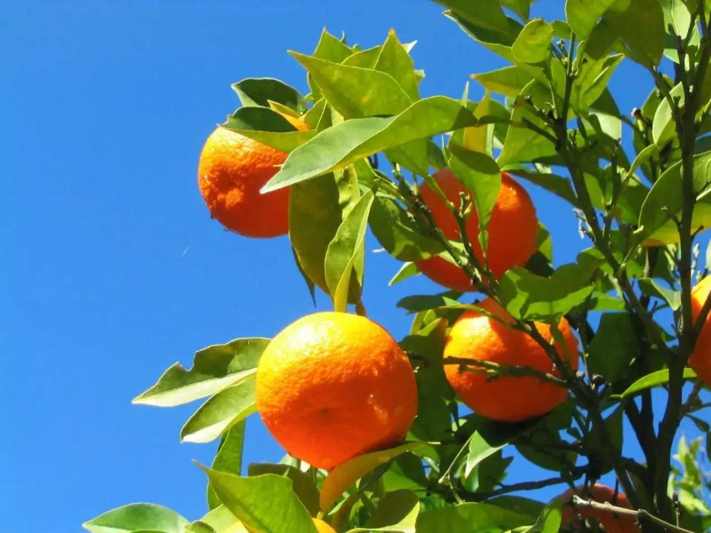 La Bastide Saint Christophe