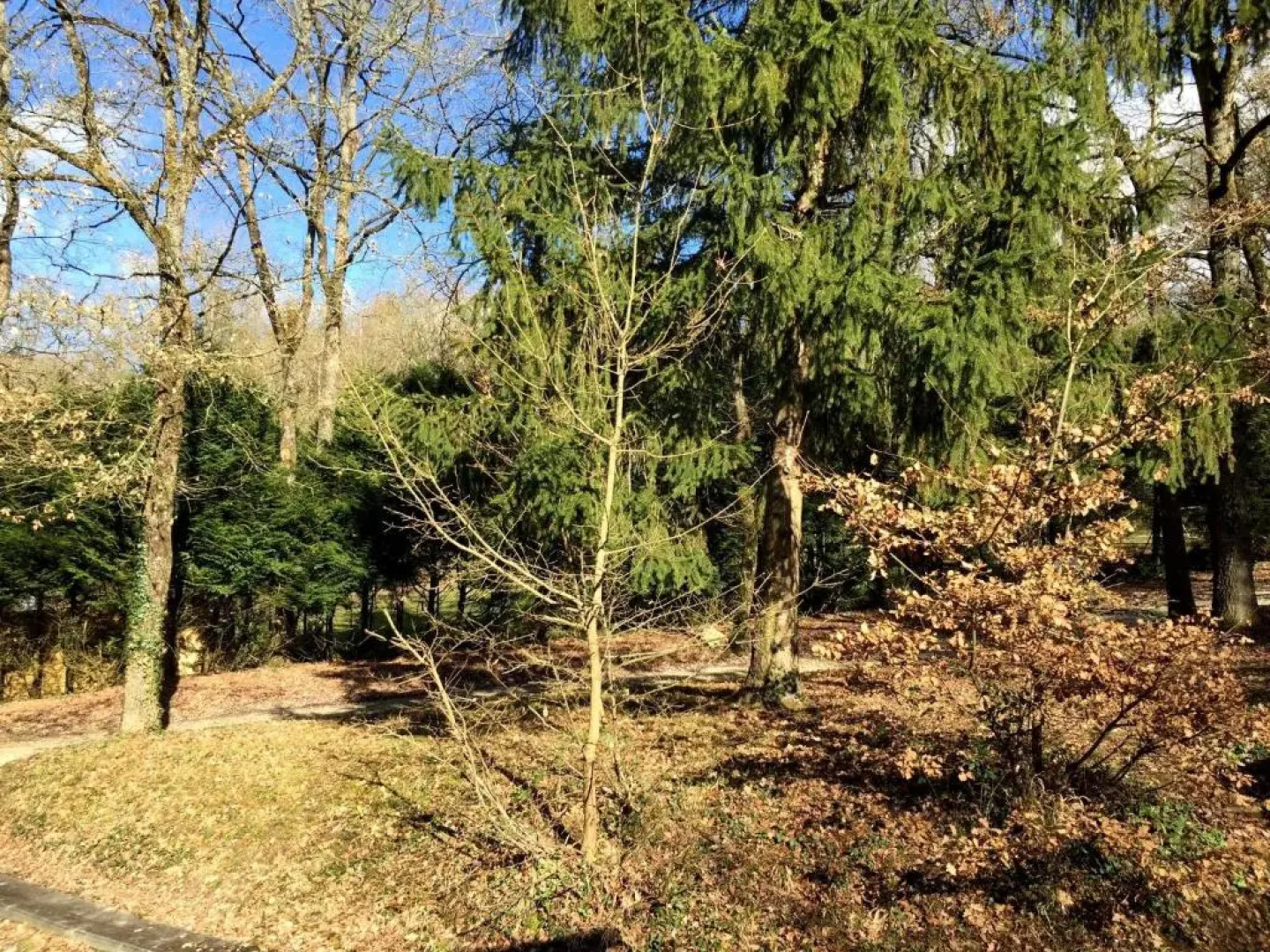 Le Chalet De La Loire