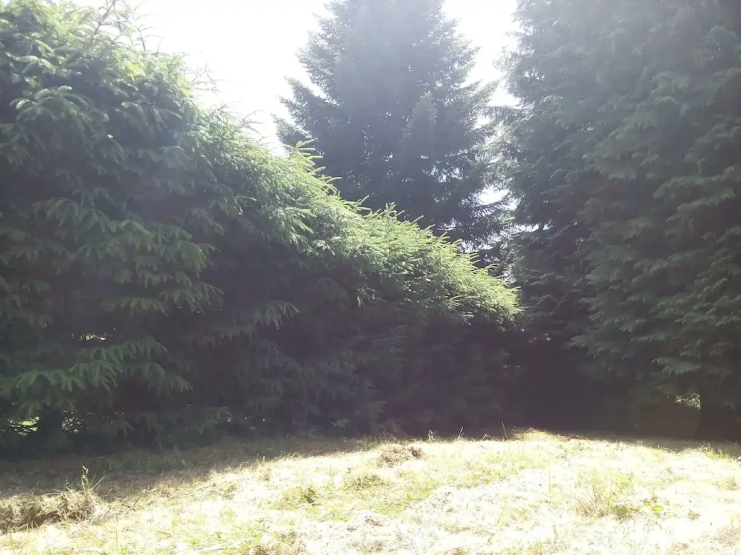 Chalet les Séquoias