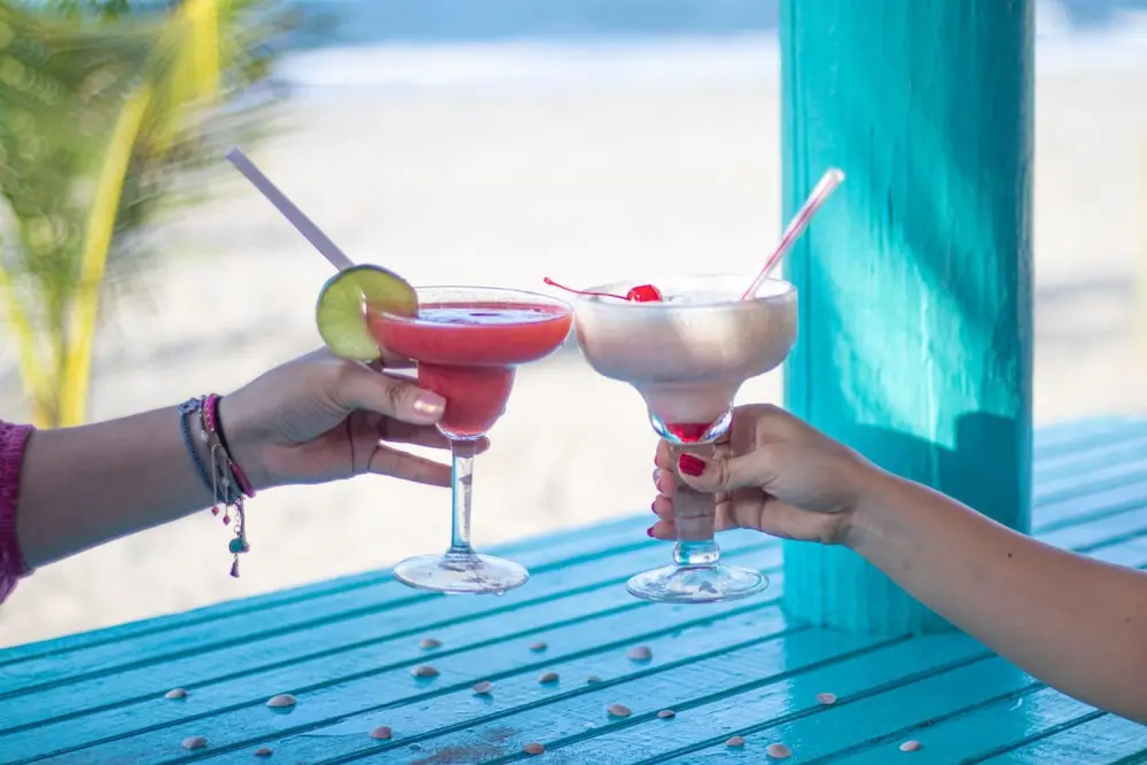 Palmazul - Viña del Mar