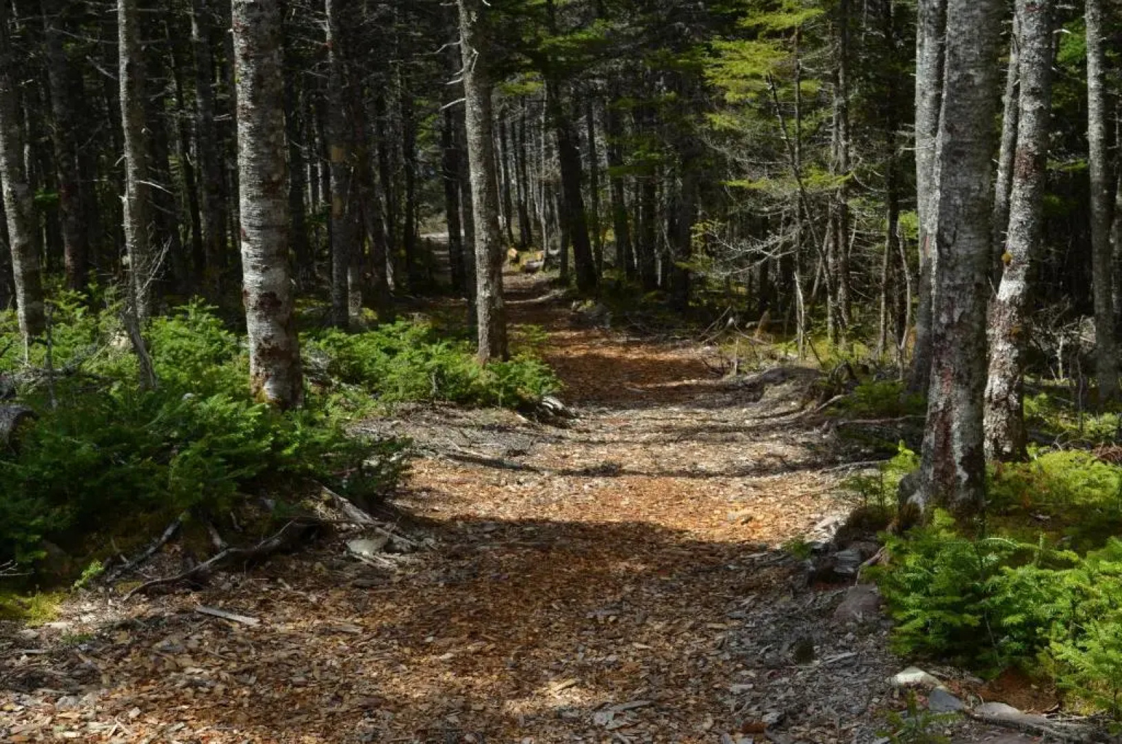 The Doctor's House Inn & Spa