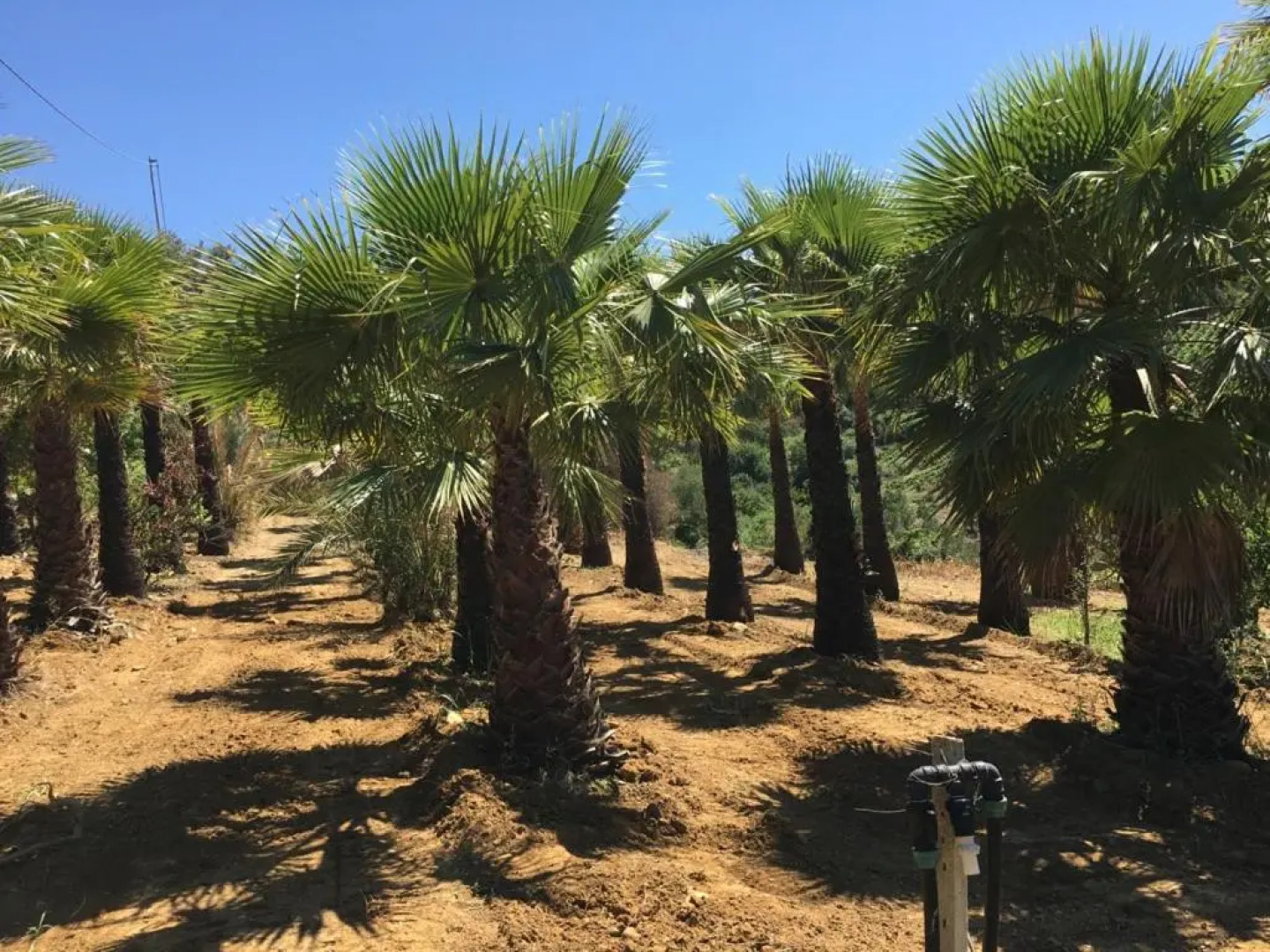 Egesta, villa with private pool