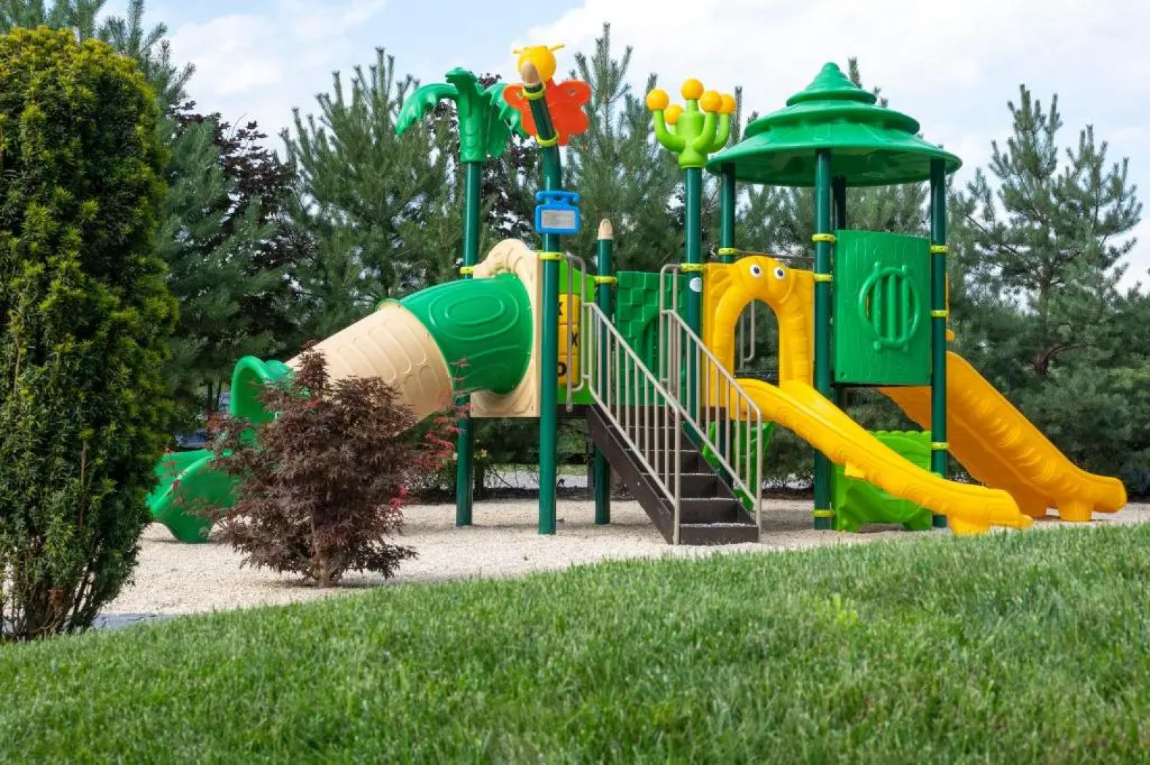 Piatra Pinului Ski Hotel & SPA