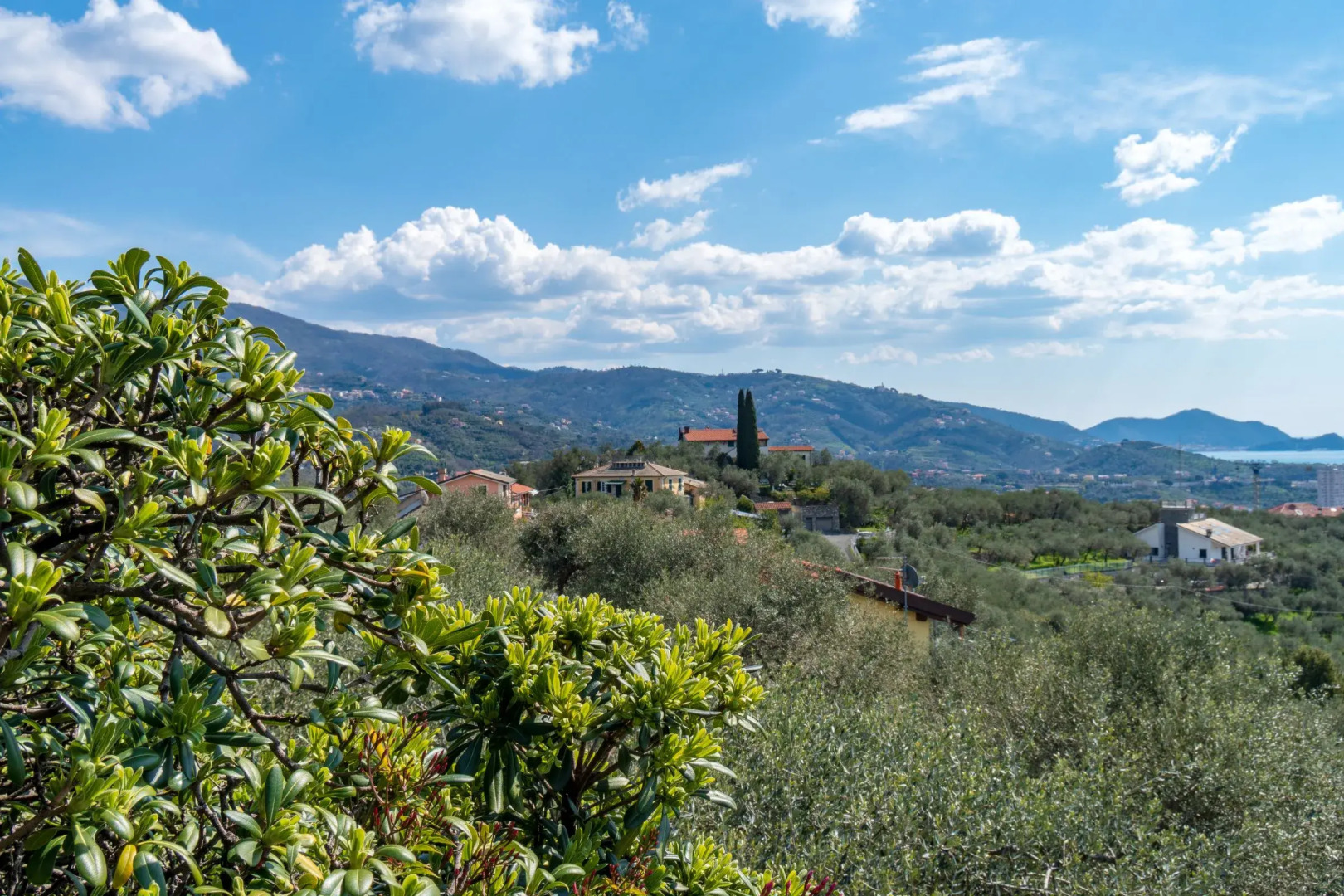 Paulotti Antico Borgo Ground Floor