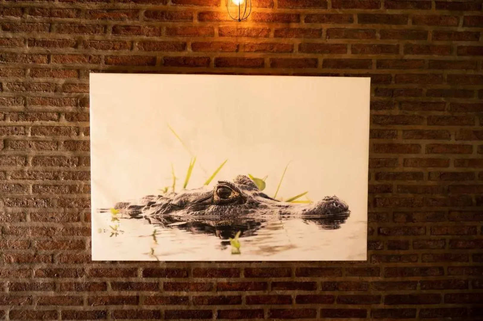 Cabañas Mburucuyá Poty