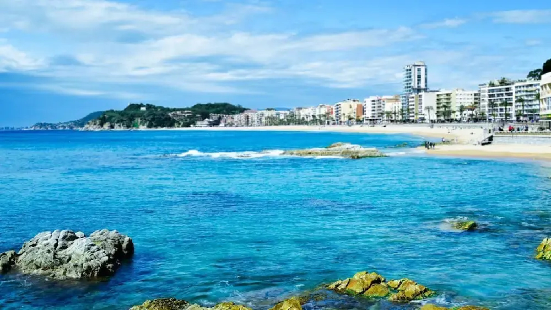 Cipresos 14p in Llafranc