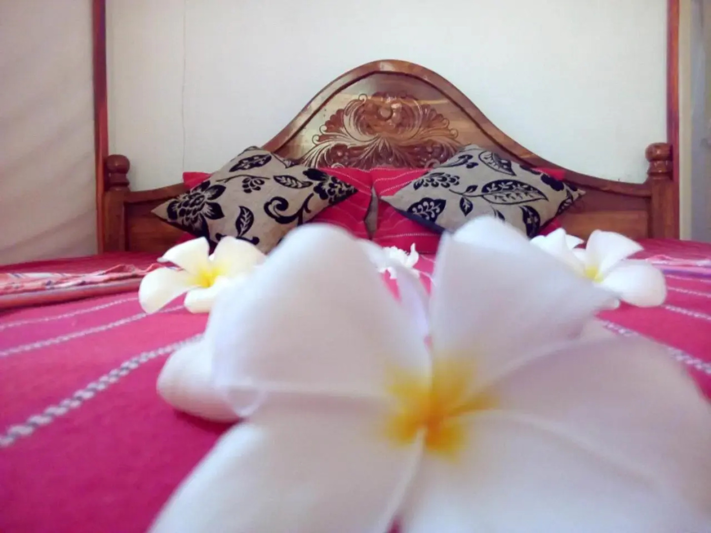 Nethmi Homestay & Restaurant