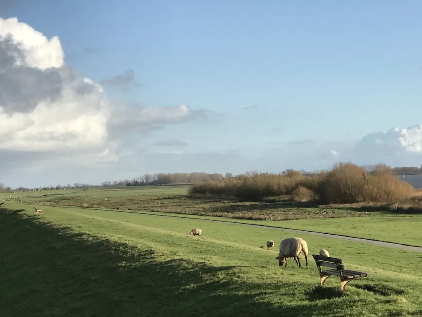 Apartment Panorama 1 near airport