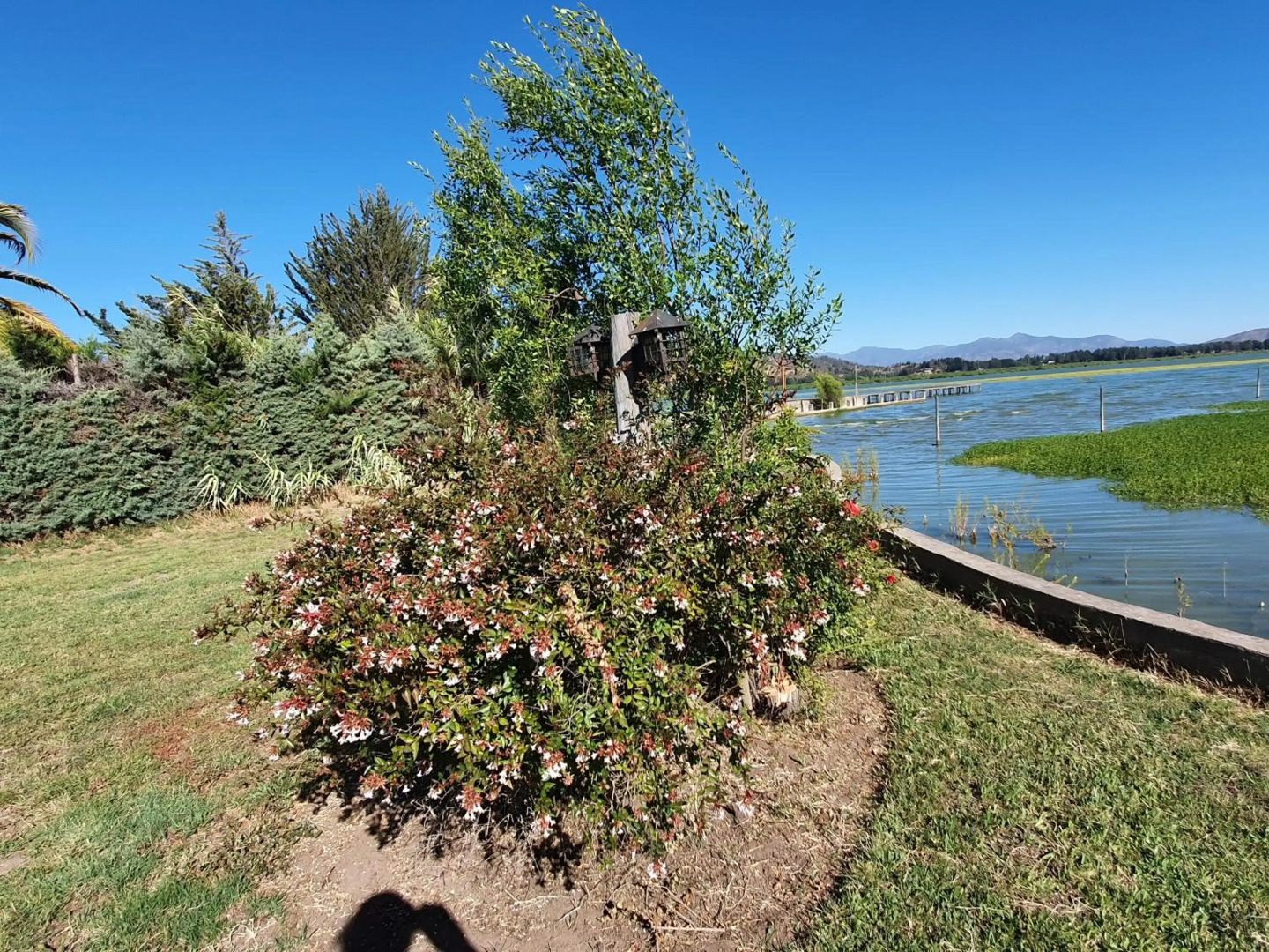 Parcela de 3 hectáreas con orilla de Lago
