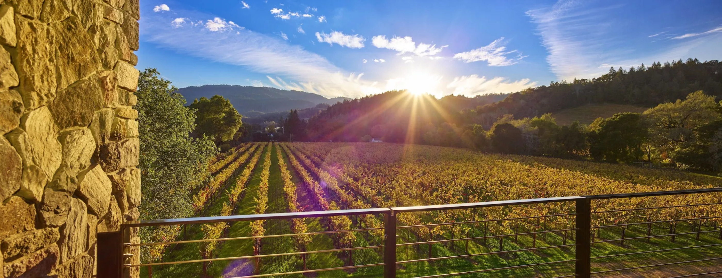 Alila Napa Valley, a Hyatt Luxury Resort