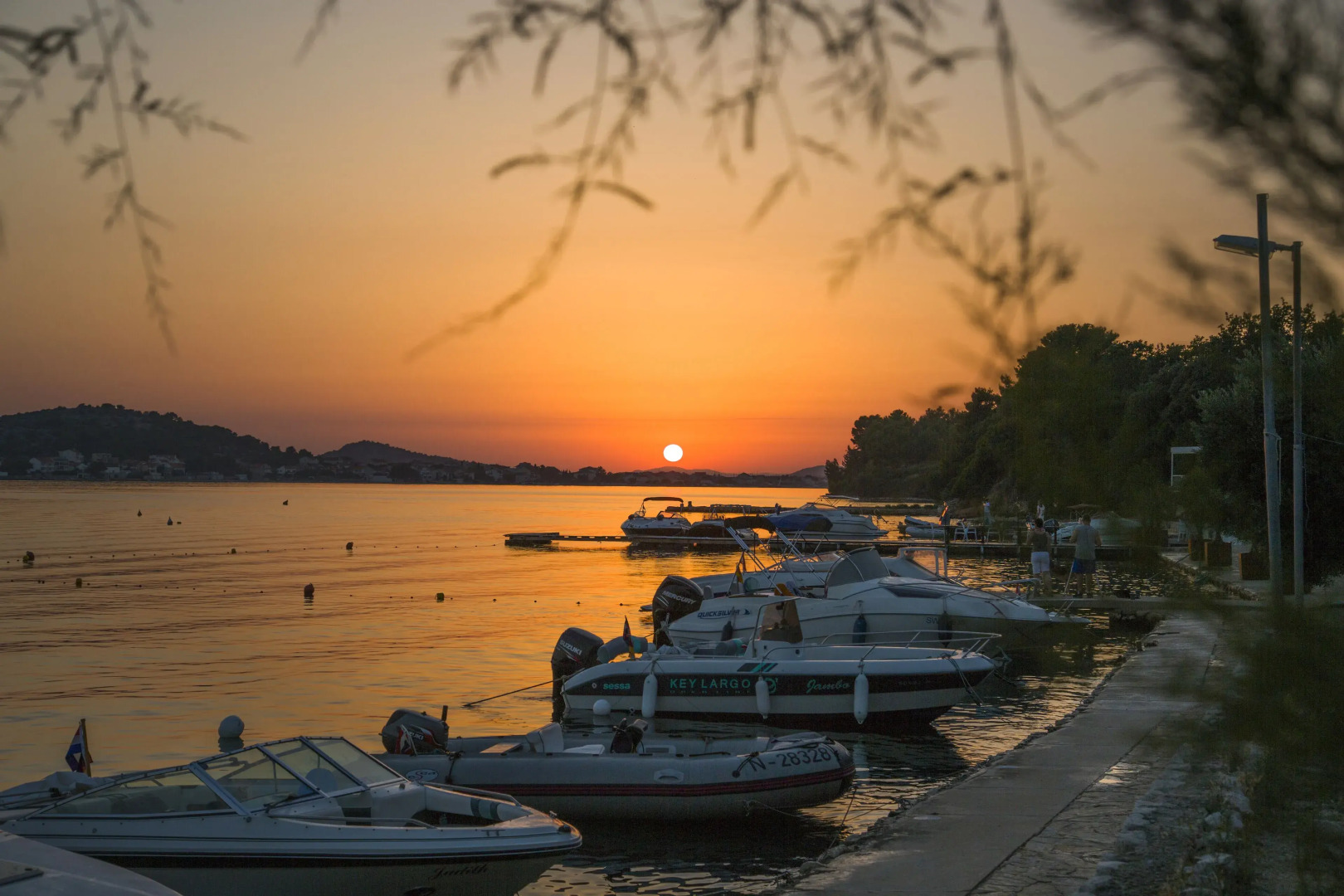 Olivia Green Camping