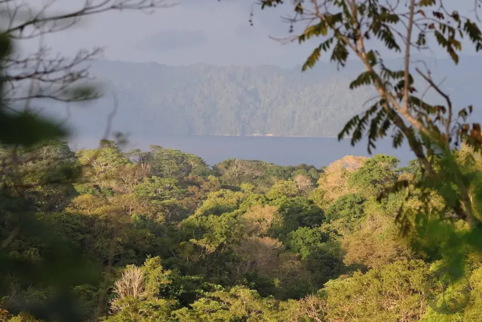 Villa Bruno - Terrace - Jungle - Birdwatching