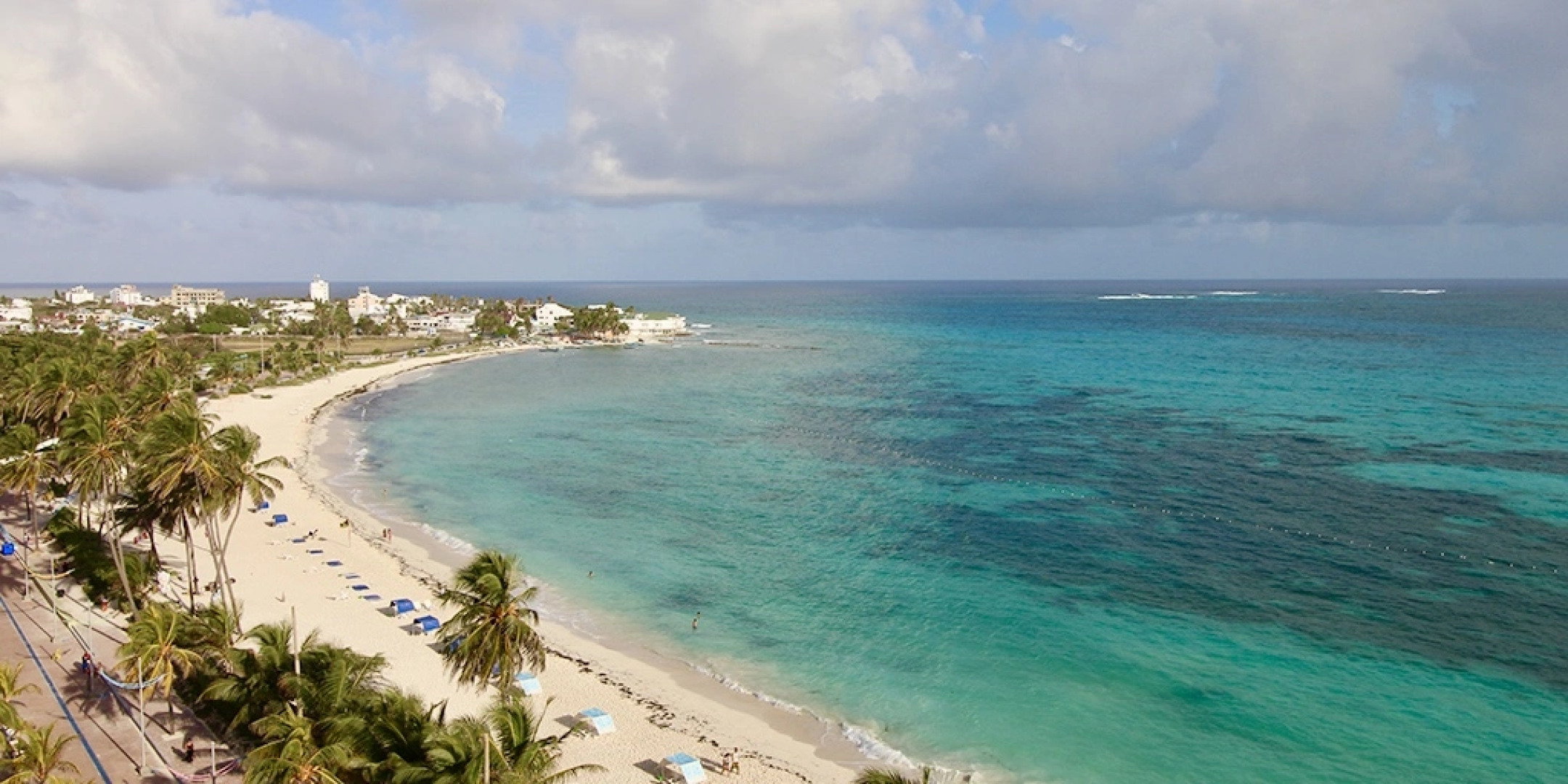 On Vacation Coral Flower