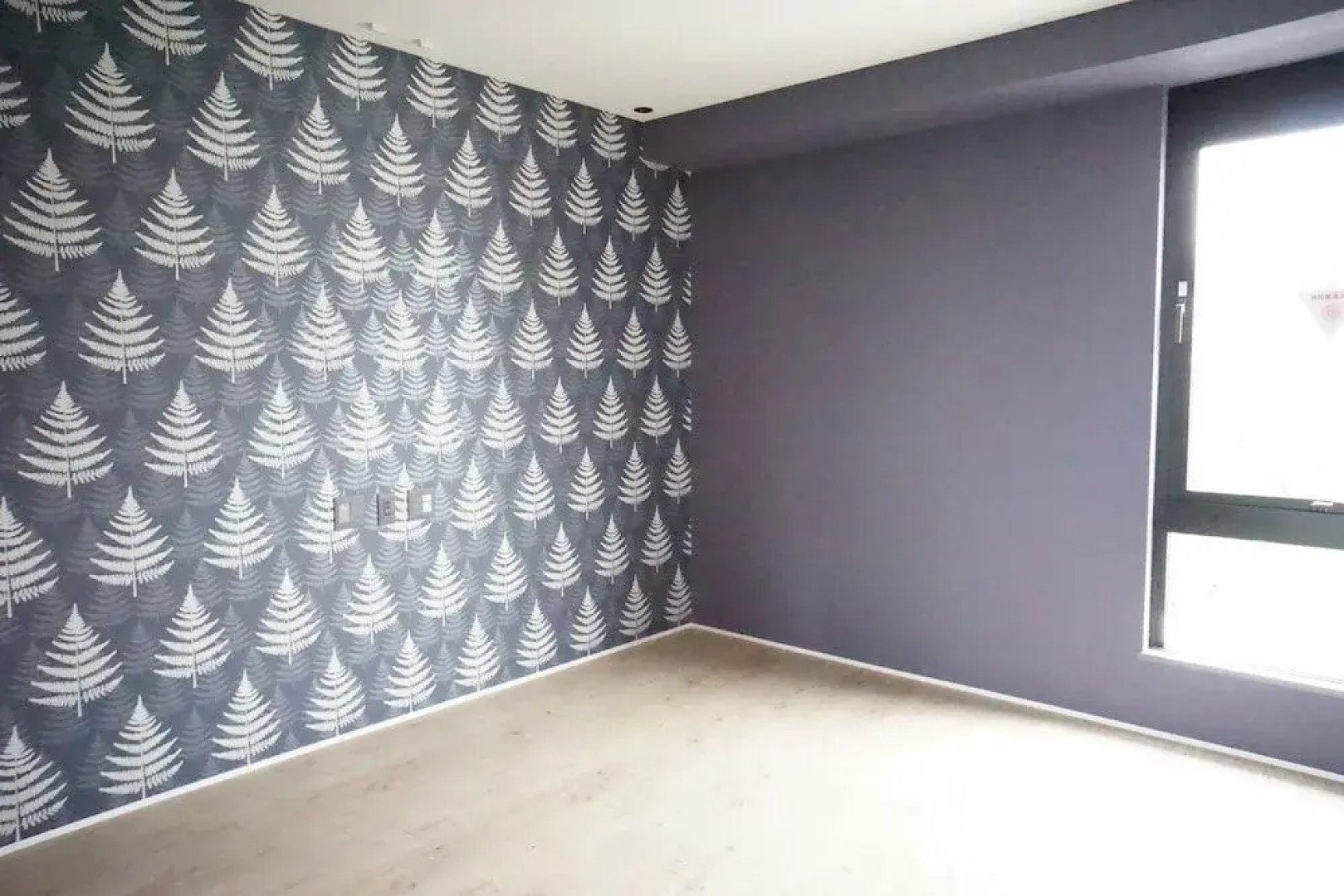 Blue Steak Wonder Senaha