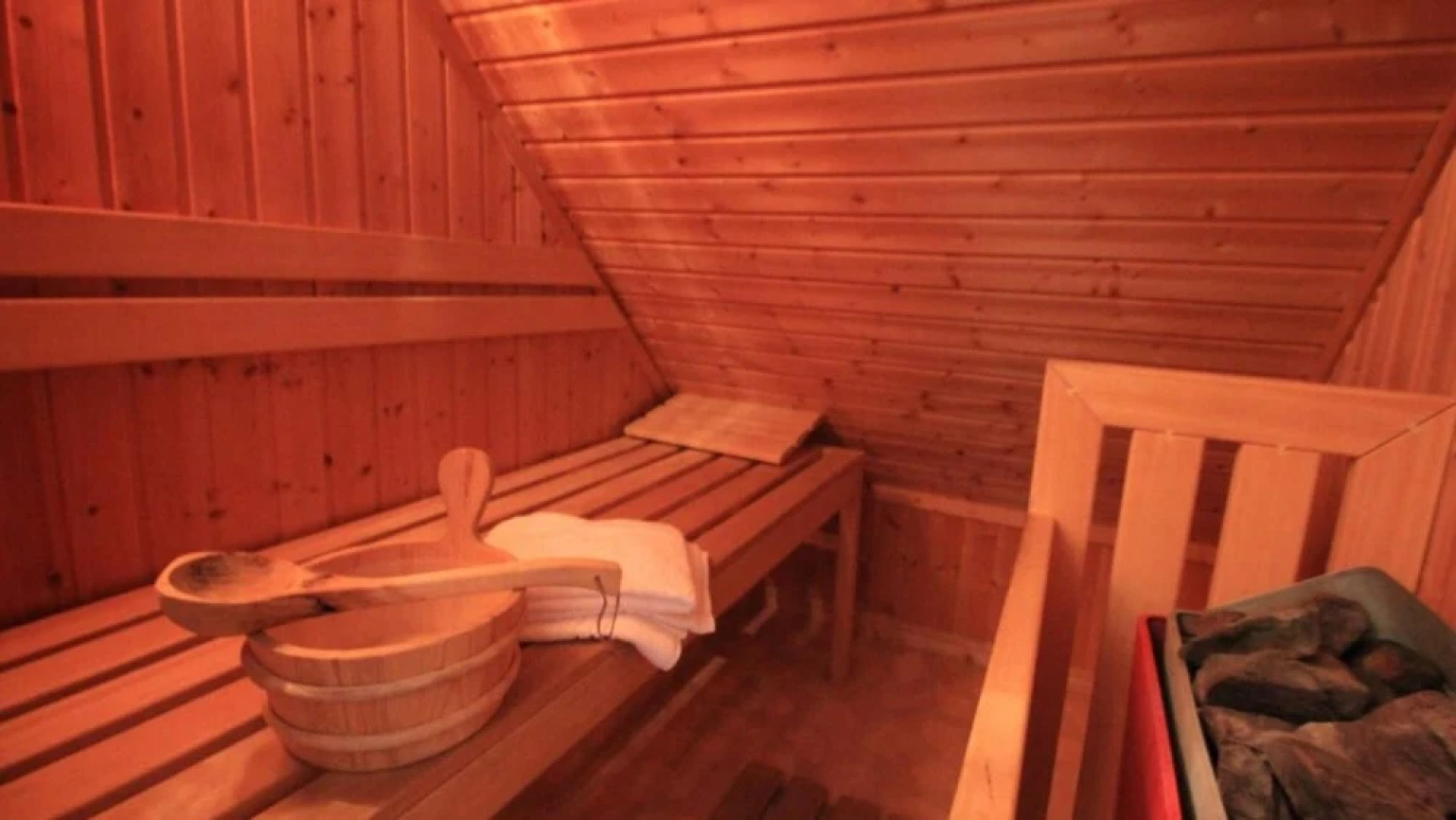 HVZ Orchis Wellness 6p