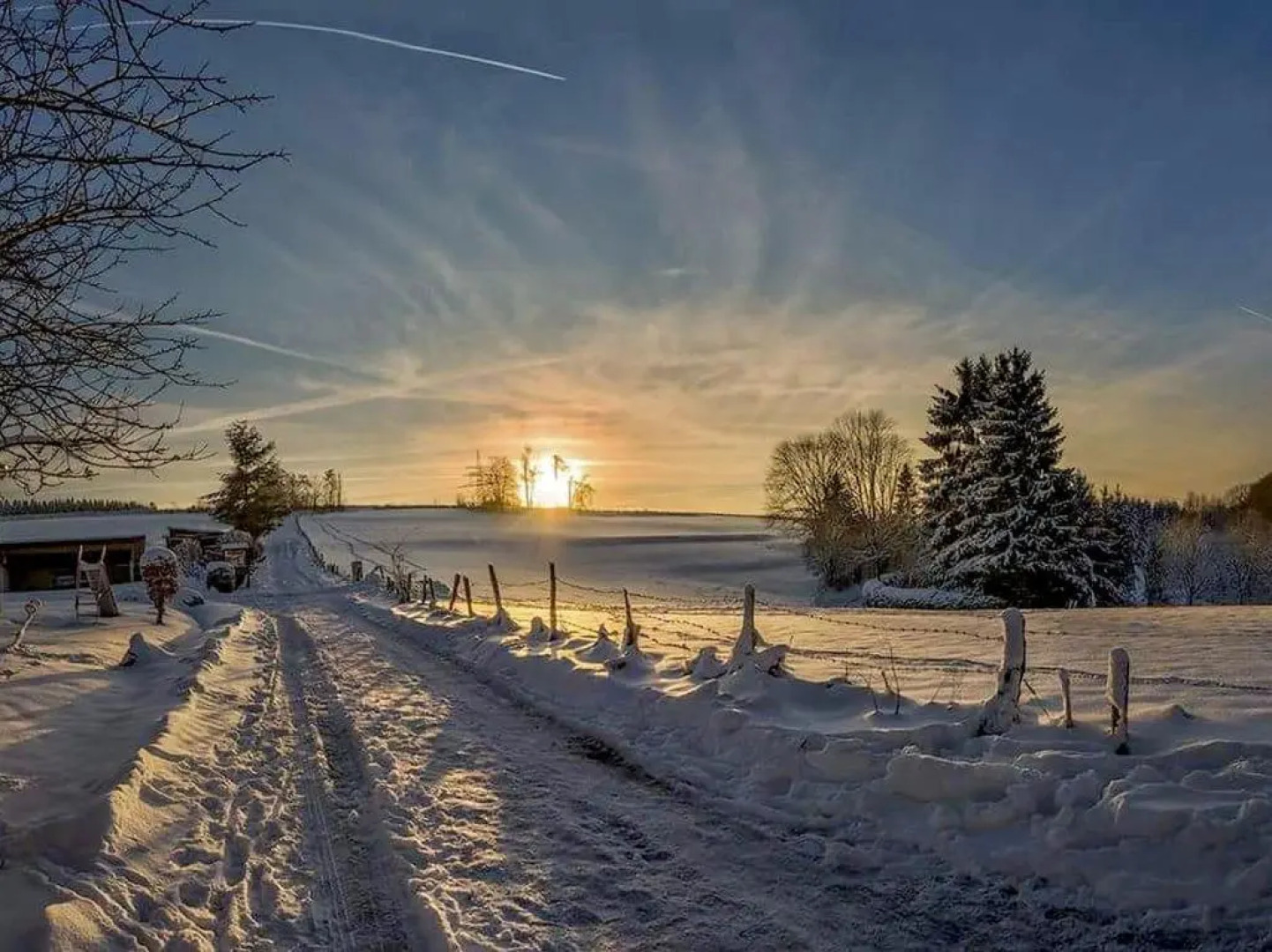 Cafe-Restaurant Vedder