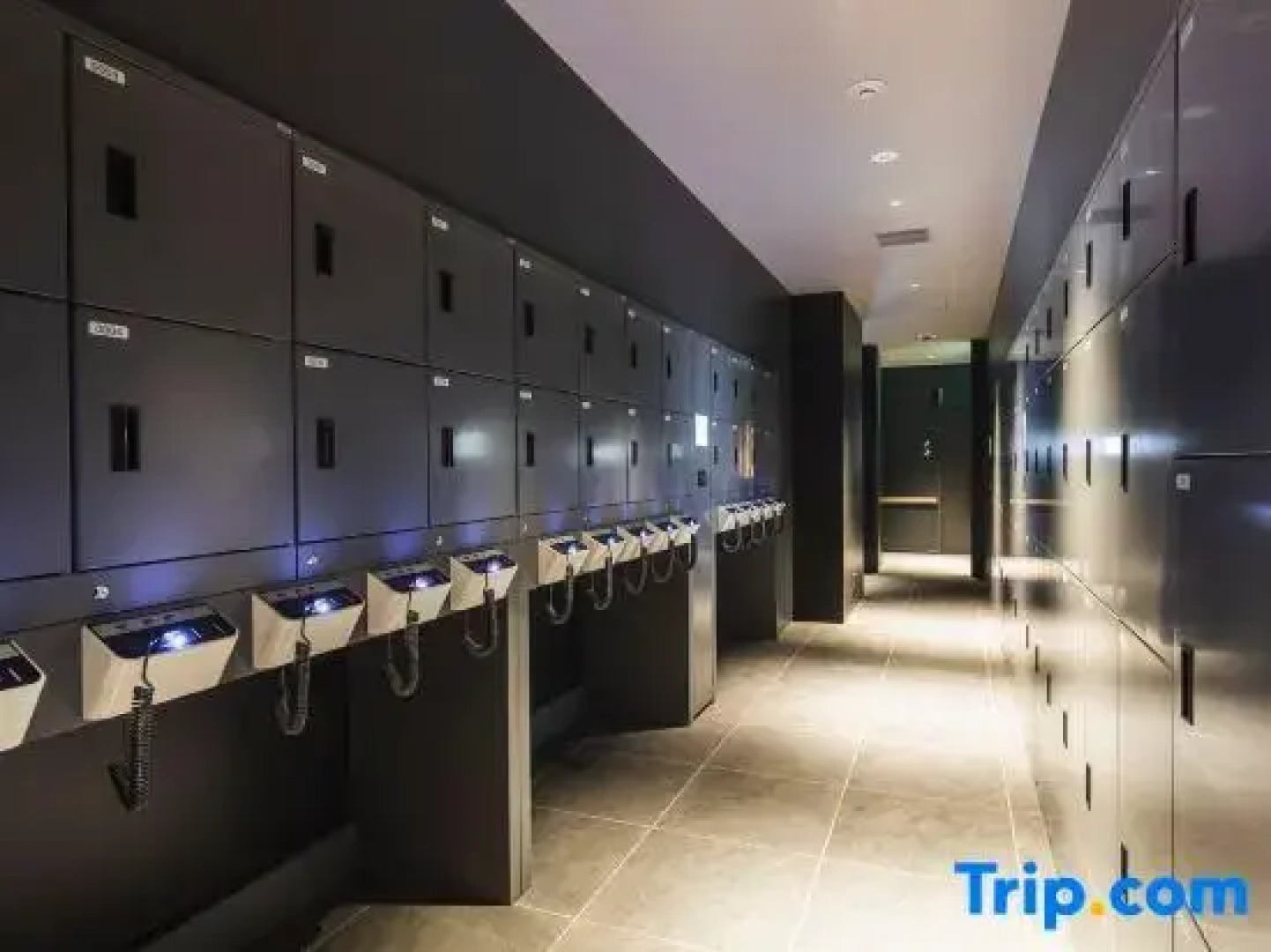 Sotetsu Hotels The Splaisir Yokohama