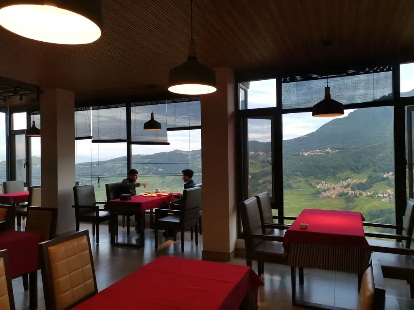 Plants and Flowers.YSTS