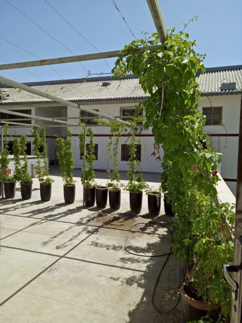 Super 8 Hotel Dunhuang Feng Qing Cheng