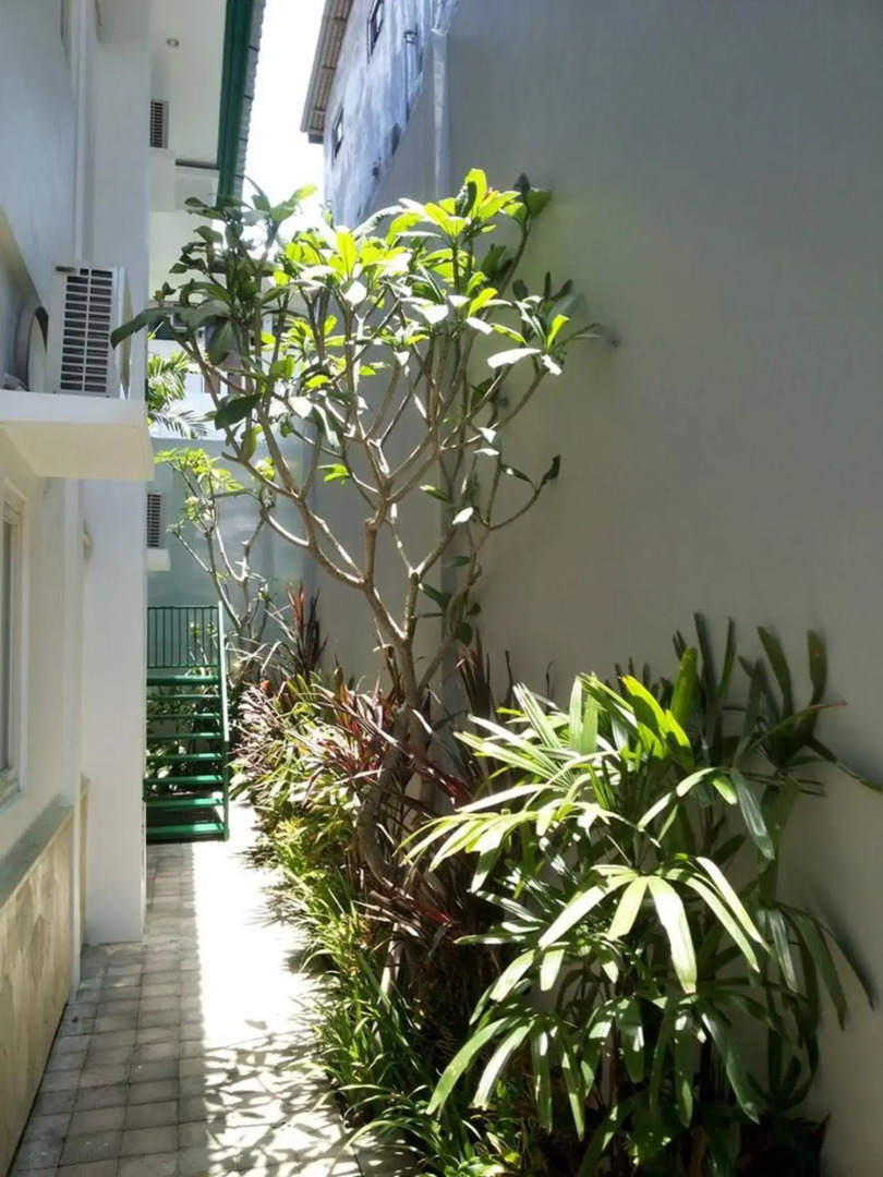 Arain Bed and Breakfast by ecommerceloka